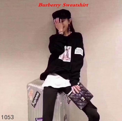 Burbery Sweatshirt 047