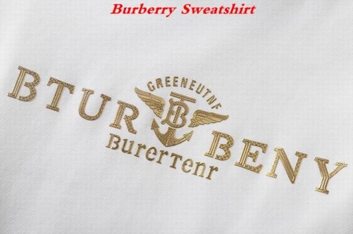 Burbery Sweatshirt 060