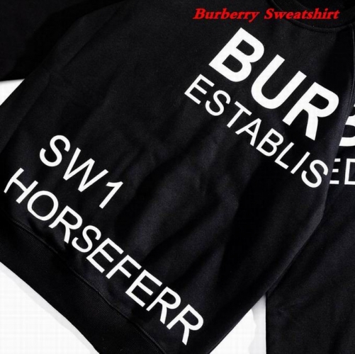 Burbery Sweatshirt 341