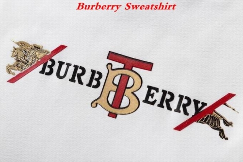 Burbery Sweatshirt 094