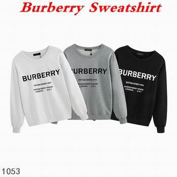 Burbery Sweatshirt 043