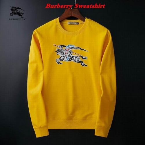 Burbery Sweatshirt 118