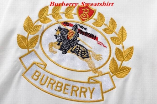 Burbery Sweatshirt 101