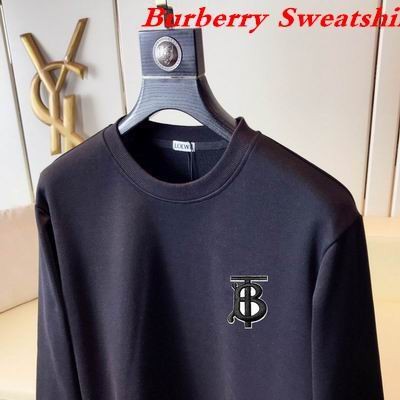 Burbery Sweatshirt 132