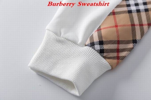 Burbery Sweatshirt 076