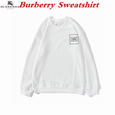 Burbery Sweatshirt 110
