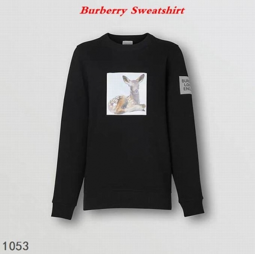 Burbery Sweatshirt 048