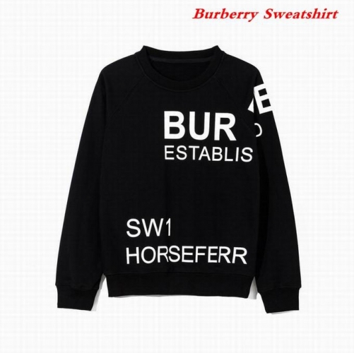 Burbery Sweatshirt 343