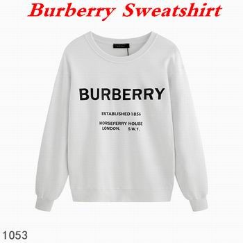 Burbery Sweatshirt 041