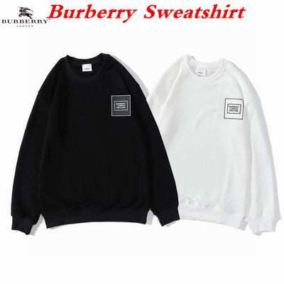 Burbery Sweatshirt 112