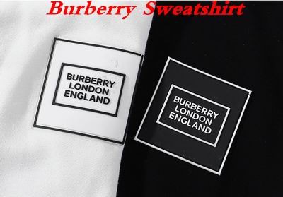 Burbery Sweatshirt 111