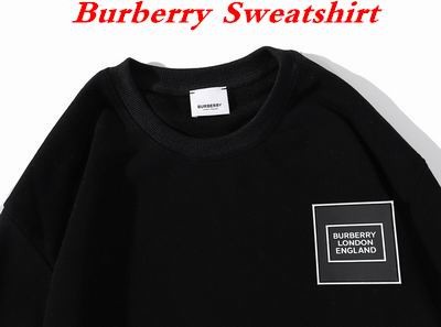 Burbery Sweatshirt 108