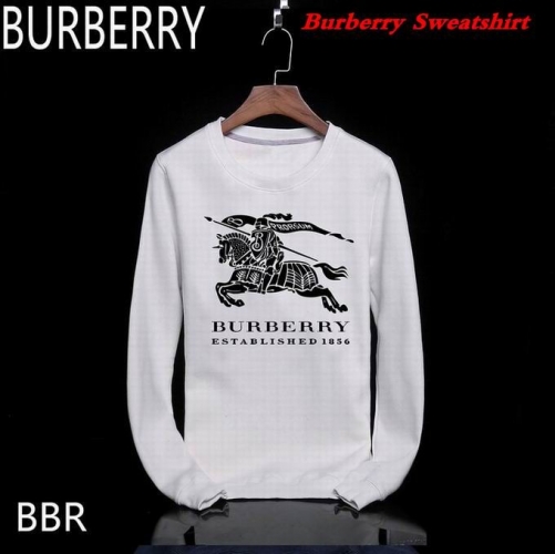 Burbery Sweatshirt 321