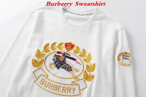Burbery Sweatshirt 102