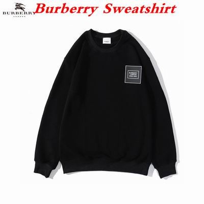 Burbery Sweatshirt 109