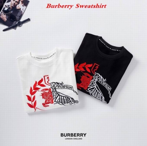 Burbery Sweatshirt 070