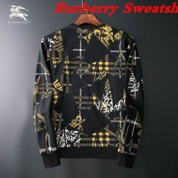 Burbery Sweatshirt 121