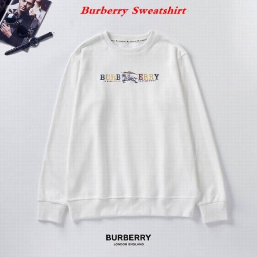 Burbery Sweatshirt 084