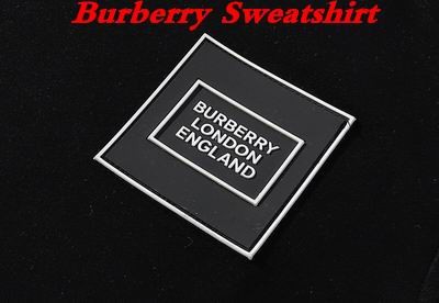 Burbery Sweatshirt 107