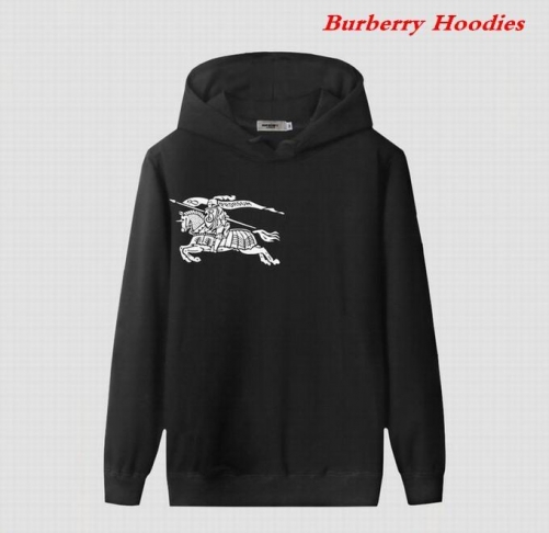 Burbery Hoodies 573