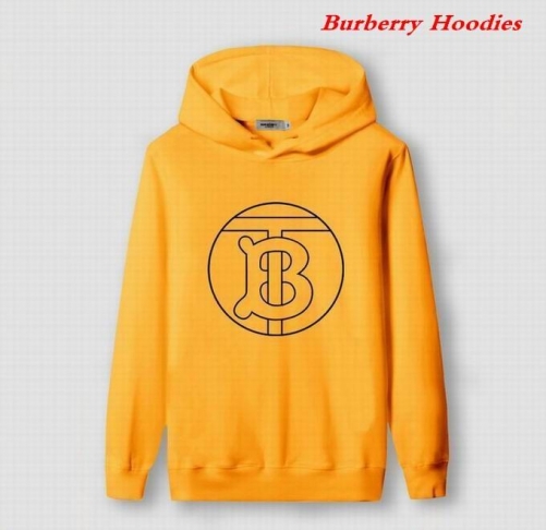 Burbery Hoodies 579