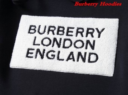 Burbery Hoodies 374