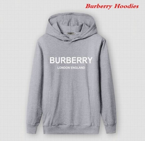 Burbery Hoodies 503