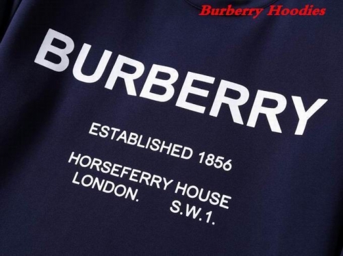 Burbery Hoodies 398