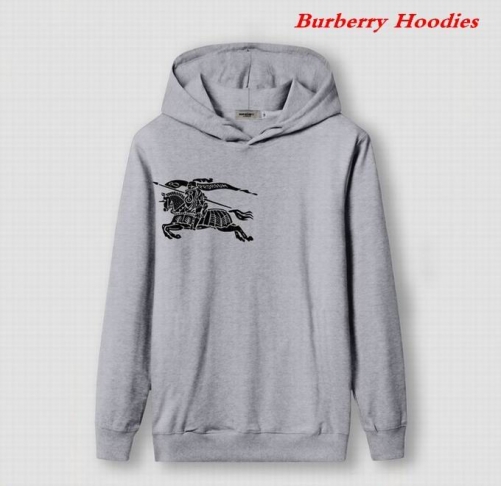 Burbery Hoodies 570
