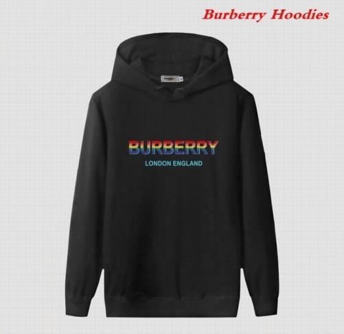 Burbery Hoodies 560