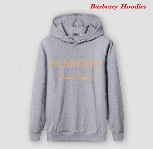 Burbery Hoodies 527