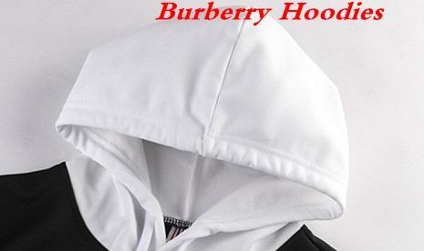 Burbery Hoodies 360