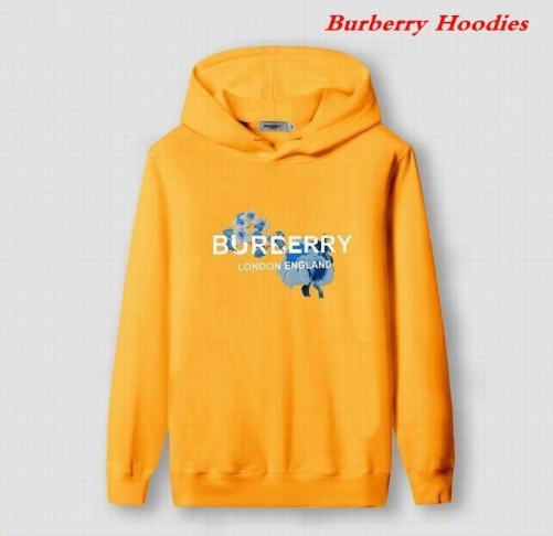 Burbery Hoodies 549