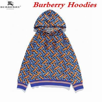 Burbery Hoodies 359
