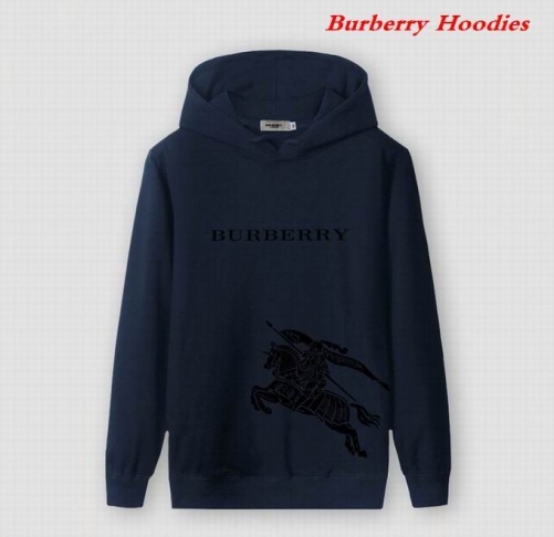 Burbery Hoodies 531