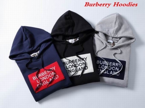 Burbery Hoodies 380