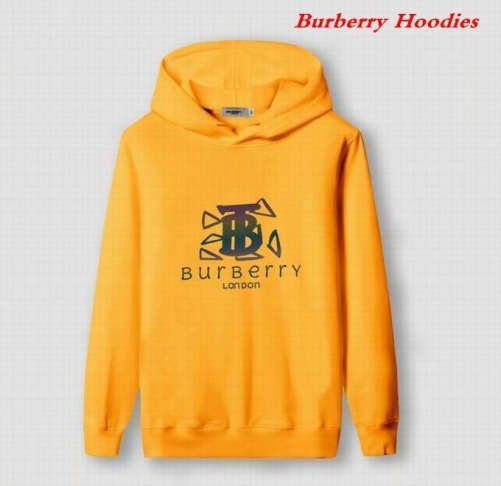 Burbery Hoodies 544