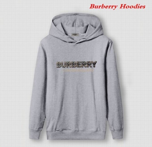 Burbery Hoodies 565
