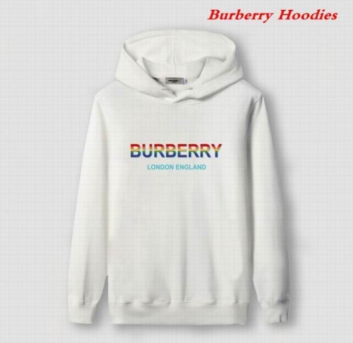 Burbery Hoodies 562