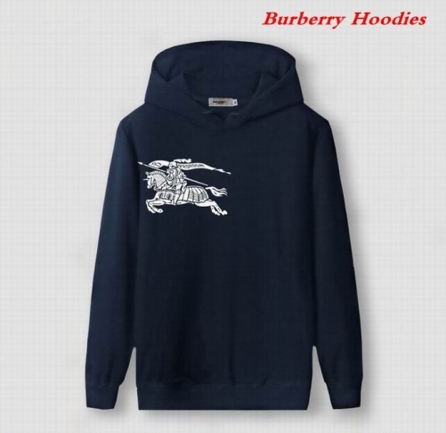 Burbery Hoodies 572