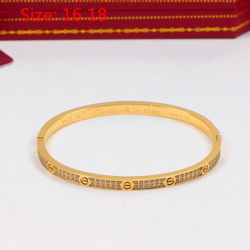 C.a.r.t.i.e.r. Bangle 101