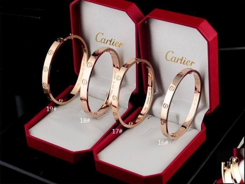 C.a.r.t.i.e.r. Bangle 307