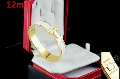 H.e.r.m.e.s. Bangle 209