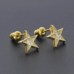 Hot Fashion Earring 071