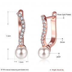 Hot Fashion Earring 136
