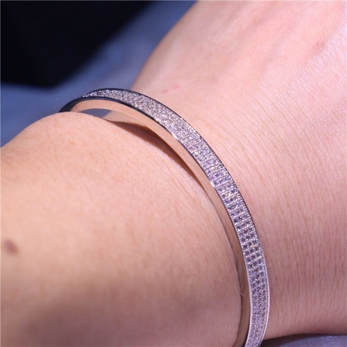 Hot Fashion Bangle 022