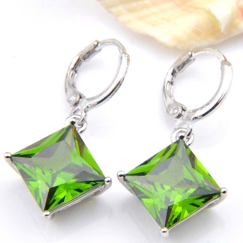 Hot Fashion Earring 022