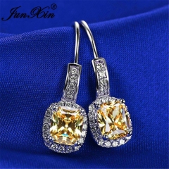 Hot Fashion Earring 055