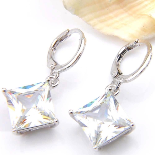 Hot Fashion Earring 012