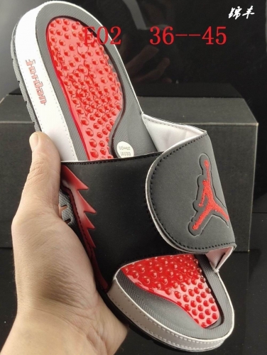 Air Jordan Hydro 5-009